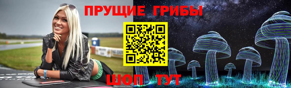 Псилоцибиновые грибы мицелий  Вход с VPN  Туймазы  Псилоцибиновые грибы Psilocybe 